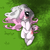 Size: 3000x3000 | Tagged: safe, artist:koinudied, oc, oc only, pony, unicorn, blushing, female, lying down, mare, on back