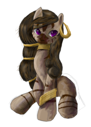 Size: 2014x2804 | Tagged: safe, artist:owlvortex, oc, oc only, zebra, askyoungzecora