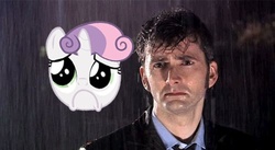 Size: 497x273 | Tagged: safe, sweetie belle, g4, david tennant, doctor who, rain, sad
