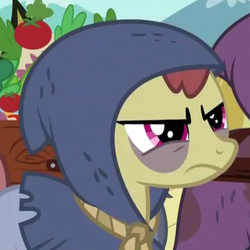 Size: 427x427 | Tagged: safe, screencap, amaranthine, charcoal bakes, earth pony, pony, g4, hearth's warming eve (episode), background pony, bags under eyes, cropped, earth pony tribe, female, grumpy, hearth's warming eve, hood, mare, narrowed eyes, peasant, solo