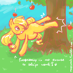 Size: 1000x1000 | Tagged: safe, artist:megcomb, applejack, g4, 30 minute art challenge, applebucking, applejack mid tree-buck facing the left with 3 apples falling down, applejack mid tree-buck with 3 apples falling down, pregnant