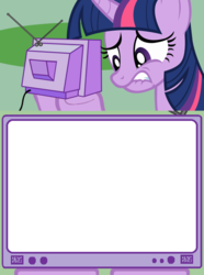 Size: 564x760 | Tagged: safe, twilight sparkle, g4, exploitable meme, meme, template, tv meme