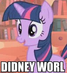 Size: 315x341 | Tagged: safe, edit, edited screencap, screencap, twilight sparkle, g4, owl's well that ends well, caption, cropped, didney worl, female, image macro, meme, needs more jpeg, solo
