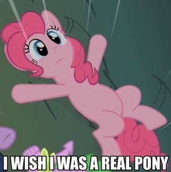 Size: 520x522 | Tagged: safe, pinkie pie, spike, g4, image macro, on back, puppet