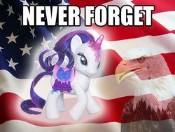 Size: 640x480 | Tagged: safe, rarity, bald eagle, bird, eagle, g4, brushable, context is for the weak, crying, female, flag, irl, never forget, patriotic, photo, toy, united states