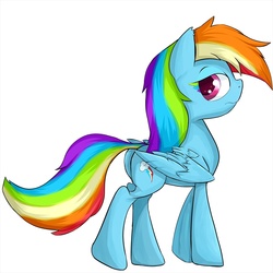 Size: 1050x1050 | Tagged: safe, artist:zokkili, rainbow dash, g4, colored eyelashes, female, solo