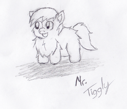 Size: 736x632 | Tagged: safe, artist:mr tiggly the wiggly walnut, fluffy pony, fluffy pony original art, monochrome, sketch, solo, traditional art