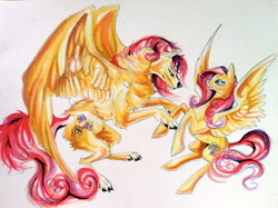 Size: 2018x1512 | Tagged: safe, artist:lucky978, fluttershy, wolf, g4, duality, flutterwolf, species swap, traditional art, wolfified