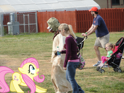 Size: 2592x1944 | Tagged: safe, fluttershy, g4, ponies in real life, star wars