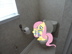 Size: 2592x1944 | Tagged: safe, fluttershy, g4, but why, implied pooping, ponies in real life, potty, potty time, reading, sitting on toilet, toilet