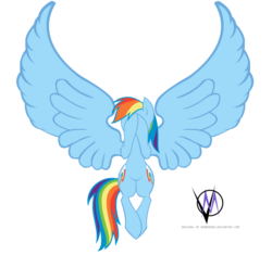 Size: 922x867 | Tagged: safe, artist:bamboodog, artist:overmare, rainbow dash, g4, female, original style, simple background, solo, transparent background, vector, wide hips