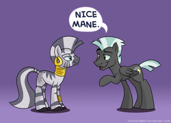 Size: 890x636 | Tagged: safe, artist:spainfischer, thunderlane, zecora, pegasus, pony, zebra, g4, female, male, mohawk, stallion, thundercora