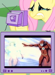 Size: 563x771 | Tagged: safe, fluttershy, g4, exploitable meme, kid flash, tv meme, young justice