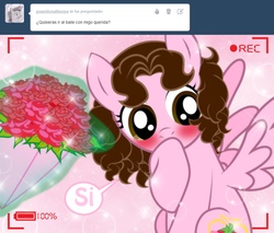 Size: 1236x1051 | Tagged: safe, artist:shinta-girl, oc, oc only, oc:shinta pony, ask, bouquet, camera, camera shot, spanish, translated in the description, tumblr