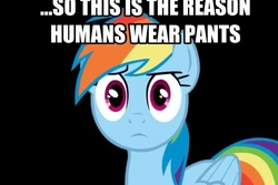 Size: 960x640 | Tagged: safe, rainbow dash, g4, black background, image macro, simple background, solo, wide eyes