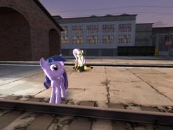 Size: 1024x768 | Tagged: safe, artist:php74, fluttershy, twilight sparkle, g4, 3d, gmod, heavy (tf2), heavy weapons guy, team fortress 2