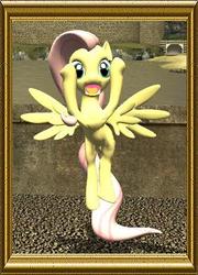 Size: 331x461 | Tagged: safe, artist:php74, fluttershy, g4, 3d, female, fine art parody, gmod, solo, the scream