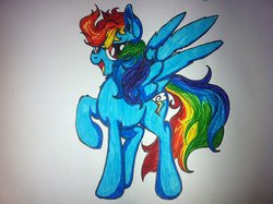 Size: 1024x765 | Tagged: safe, artist:elskafox, rainbow dash, g4, eyes open, full body, open mouth, raised hoof, solo, spread wings, standing, traditional art, wings