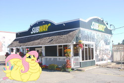 Size: 1024x685 | Tagged: safe, artist:guyfuy, edit, editor:bucky, fluttershy, pegasus, pony, g4, fat, fattershy, morbidly obese, obese, ponies in real life, subway