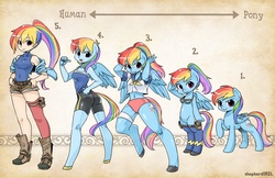 Size: 1600x1035 | Tagged: safe, artist:shepherd0821, rainbow dash, human, pegasus, pony, anthro, semi-anthro, unguligrade anthro, g4, anthro chart, anthro with ponies, belly button, bipedal, boots, chart, clothes, female, hand on hip, high-cut clothing, humanized, line-up, looking at you, mare, midriff, open mouth, ponytail, raised hoof, salute, shirt, shoes, shorts, socks, sports panties, tank top, unshorn fetlocks