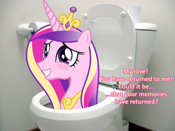 Size: 816x612 | Tagged: safe, princess cadance, alicorn, pony, g4, blush sticker, blushing, but why, deionarra, deus ex, dialogue, malkavian mod, planescape torment, toilet