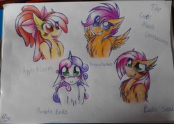 Size: 2560x1836 | Tagged: safe, artist:tay-niko-yanuciq, apple bloom, babs seed, scootaloo, sweetie belle, g4, blushing, chest fluff, cutie mark crusaders, ear fluff, floppy ears, fluffy, traditional art