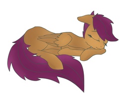 Size: 2048x1536 | Tagged: safe, artist:d1fen, scootaloo, pegasus, pony, g4, female, filly, simple background, sleeping, solo, white background