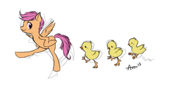 Size: 1000x488 | Tagged: safe, artist:pandarainbow, scootaloo, chicken, pegasus, pony, g4, behaving like a chicken, chick, cute, cutealoo, scootachicken, simple background, white background