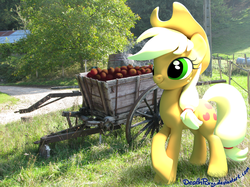 Size: 1667x1250 | Tagged: safe, artist:deathpwny, applejack, g4, 3d, apple, blender, cart, irl, photo, ponies in real life