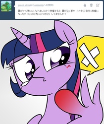 Size: 600x715 | Tagged: safe, twilight sparkle, alicorn, pony, g4, asktandp, female, japanese, mare, tumblr, twilight sparkle (alicorn)