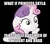 Size: 949x841 | Tagged: safe, edit, edited screencap, screencap, flash sentry, princess skyla, sweetie belle, twilight sparkle, equestria girls, g4, my little pony: friendship is magic, ponyville confidential, black background, brad, female, meme, simple background, solo, sudden clarity sweetie belle