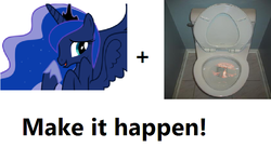 Size: 720x391 | Tagged: safe, princess luna, alicorn, pony, g4, backside gobbling, exploitable meme, female, irl, joke, make it happen, mare, meme, photo, scp foundation, scp-789-j, text, toilet