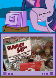 Size: 562x771 | Tagged: safe, twilight sparkle, ferret, rabbit, g4, exploitable meme, facehoof, fail, meme, pet shop, seems legit, tv meme, you had one job