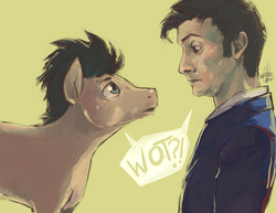 Size: 800x618 | Tagged: safe, artist:hae-hyun, doctor whooves, time turner, david tennant, human ponidox, tenth doctor, timelord ponidox