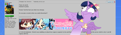 Size: 1340x388 | Tagged: safe, twilight sparkle, alicorn, pony, g4, female, haters gonna hate, mare, random, twilight sparkle (alicorn)