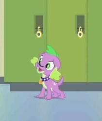 Size: 404x480 | Tagged: safe, screencap, spike, dog, equestria girls, g4, my little pony equestria girls, cropped, cute, male, solo, spikabetes, spike the dog