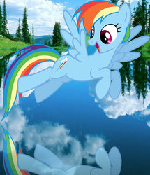 Size: 1024x1192 | Tagged: safe, artist:pattinaggio, rainbow dash, g4, female, flying, ponies in real life, reflection, solo