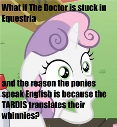 Size: 884x964 | Tagged: safe, edit, edited screencap, screencap, doctor whooves, sweetie belle, time turner, g4, ponyville confidential, meme, sudden clarity sweetie belle, tardis