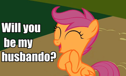 Size: 760x460 | Tagged: safe, scootaloo, g4, bronybait, female, husbando, image macro, solo