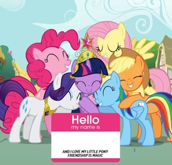 Size: 500x479 | Tagged: safe, applejack, fluttershy, pinkie pie, rainbow dash, rarity, twilight sparkle, g4, official, big crown thingy, elements of harmony, exploitable, hello my name is, mane six, name tag, the hub