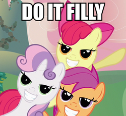 Size: 600x553 | Tagged: safe, apple bloom, scootaloo, sweetie belle, earth pony, pegasus, pony, unicorn, g4, cutie mark crusaders, do it filly, grin, image macro, lidded eyes, smiling