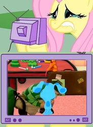 Size: 511x700 | Tagged: safe, fluttershy, dog, human, pegasus, pony, g4, blue (blue's clues), blue's clues, clothes, crying, exploitable meme, fluttercry, green shirt, irl, irl human, pants, photo, shirt, shoes, socks, steve (blue's clues), steve burns, striped shirt, tearjerker, tv meme, white socks