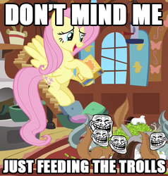 Size: 476x500 | Tagged: safe, fluttershy, pegasus, pony, squirrel, g4, image macro, reaction image, troll, trollface, you fool