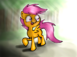 Size: 1000x740 | Tagged: safe, artist:mugg1991, scootaloo, g4, female, solo