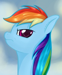 Size: 2492x2992 | Tagged: safe, artist:plazyma, rainbow dash, g4, annoyed, female, portrait, solo