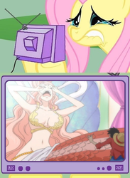 Size: 511x700 | Tagged: safe, fluttershy, mermaid, g4, belly button, exploitable meme, fluttercry, giantess, monkey d. luffy, one piece, princess shirahoshi, tv meme