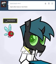 Size: 842x948 | Tagged: safe, artist:firehazard14, oc, oc only, changeling, parasprite, drstrangeling, name, solo, tumblr