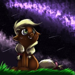 Size: 1024x1024 | Tagged: safe, artist:imsokyo, applejack, g4, female, filly, just-ask-filly-applejack, looking up, night, shooting star, sitting, solo