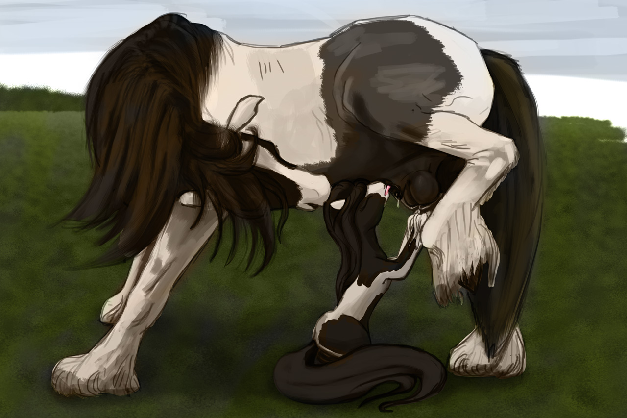 Alisonprod brooke horse