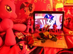 Size: 1280x956 | Tagged: safe, twilight sparkle, g4, bedspread, collector card, figure, hasbro, irl, laptop computer, plushie, rose, toy